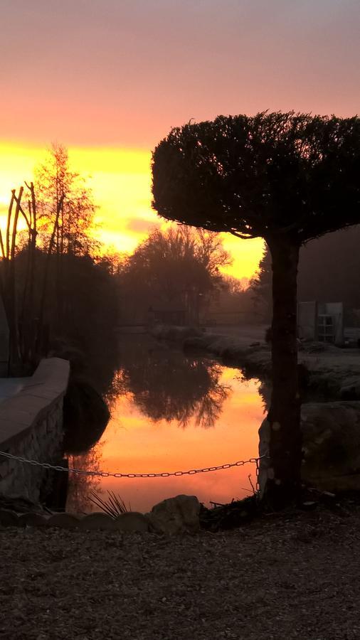 Hotel Restaurant Le Moulin De La Renne Adults Only Proche Zoo De Beauval Thesee ภายนอก รูปภาพ
